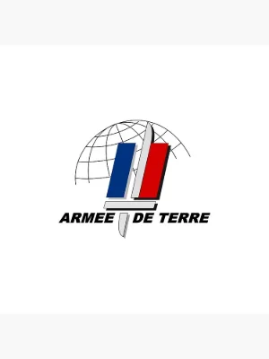 La désinformation et la lutte informationnelle
